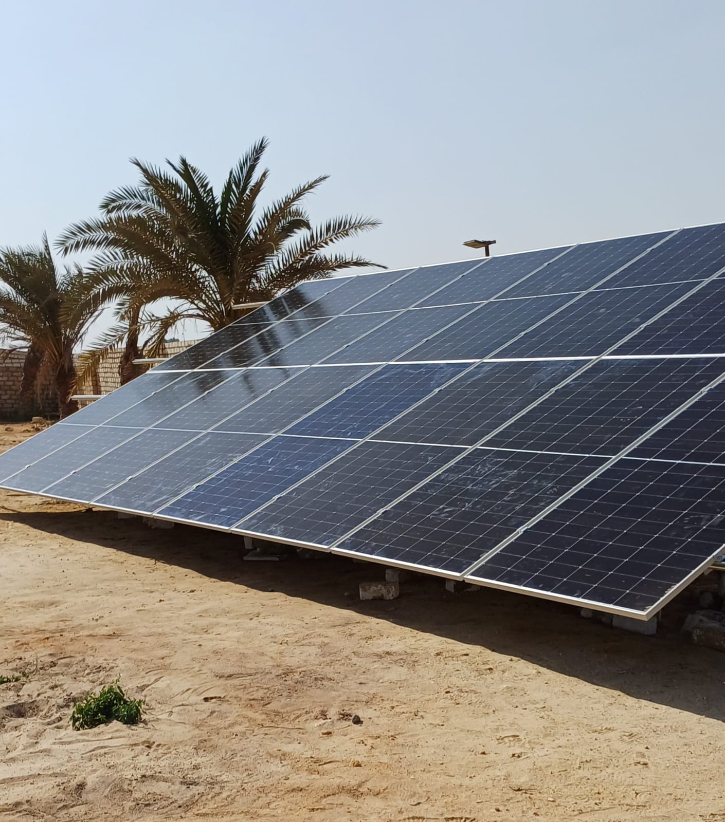 Dr \ sherif  farm