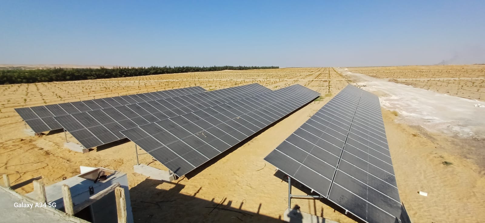 Eng\ Ahmed  farm